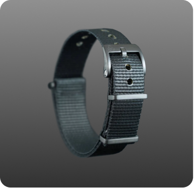 ZAS Admiralty Gray OTAN Strap