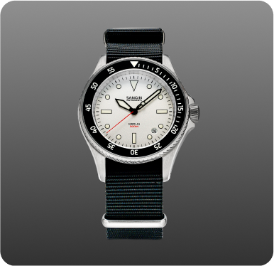 Timepiece on Expedition Strap